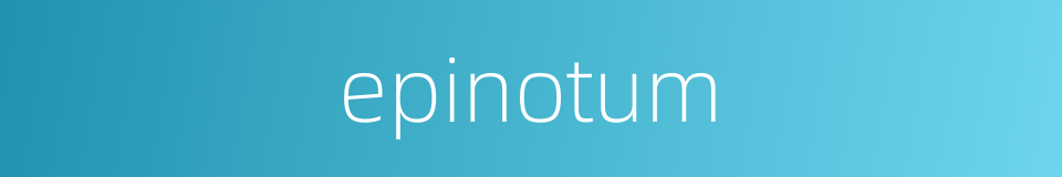 epinotum的同义词