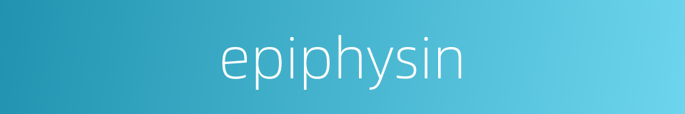 epiphysin的同义词