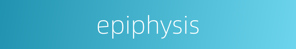epiphysis的同义词