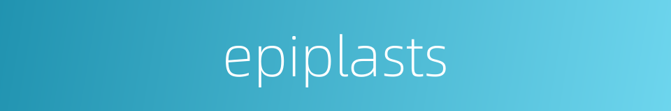 epiplasts的同义词