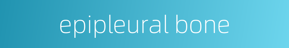 epipleural bone的同义词
