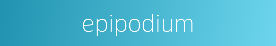 epipodium的同义词