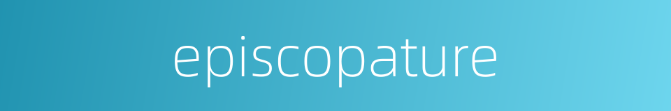 episcopature的同义词