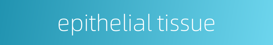 epithelial tissue的同义词