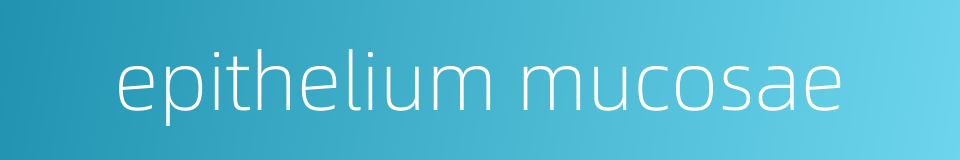 epithelium mucosae的同义词