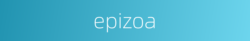 epizoa的同义词