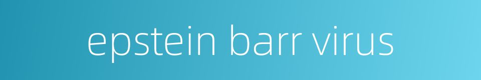 epstein barr virus的同义词