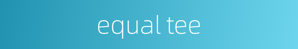 equal tee的同义词