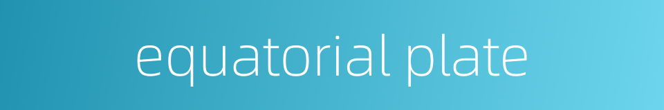 equatorial plate的同义词