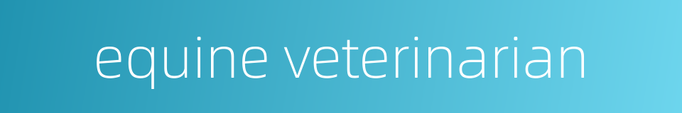 equine veterinarian的同义词