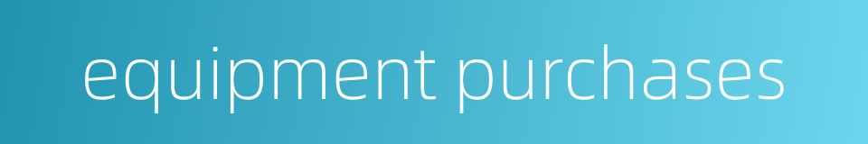 equipment purchases的同义词