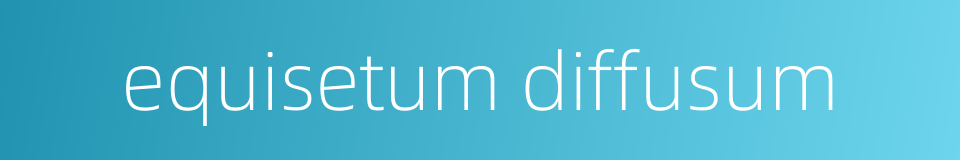 equisetum diffusum的同义词
