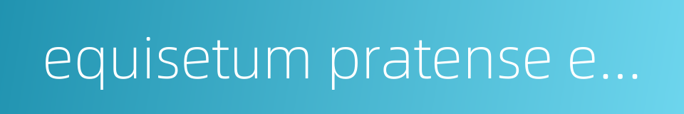 equisetum pratense ehrh的同义词