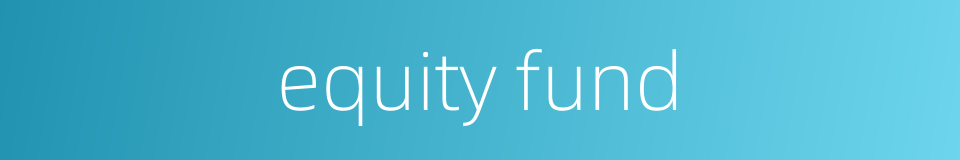 equity fund的同义词