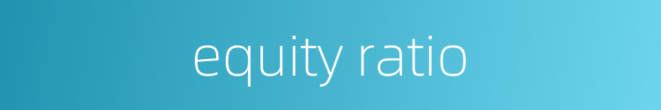 equity ratio的同义词