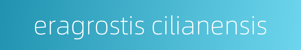 eragrostis cilianensis的同义词