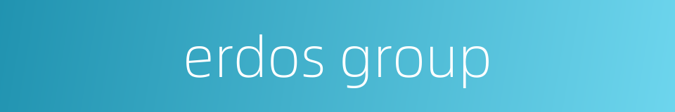 erdos group的同义词