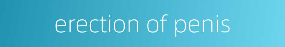 erection of penis的同义词