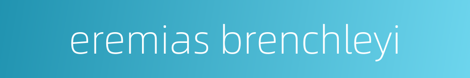 eremias brenchleyi的同义词