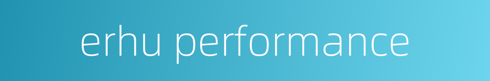 erhu performance的同义词
