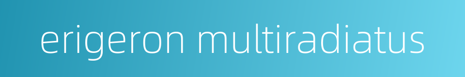 erigeron multiradiatus的同义词