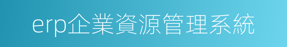 erp企業資源管理系統的同義詞