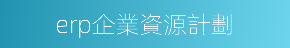 erp企業資源計劃的同義詞