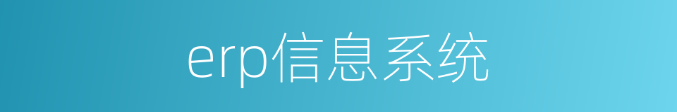erp信息系统的同义词