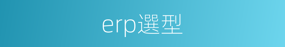 erp選型的同義詞