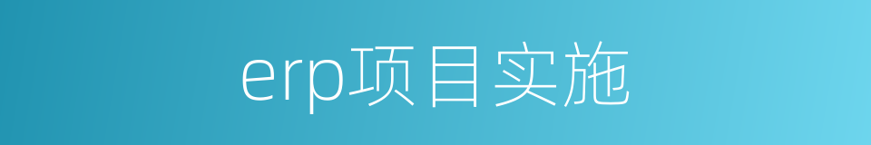 erp项目实施的同义词