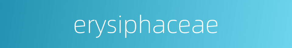 erysiphaceae的同义词