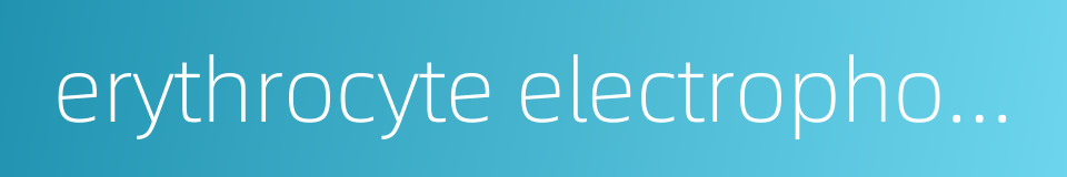erythrocyte electrophoresis time的同义词