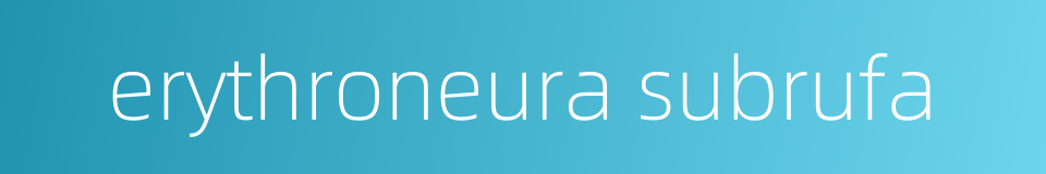erythroneura subrufa的同义词