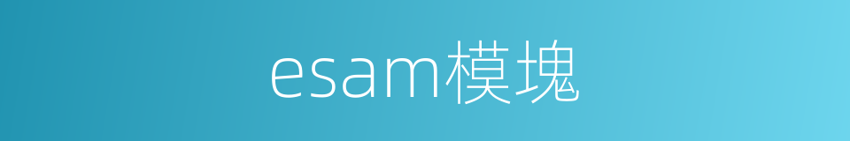esam模塊的同義詞