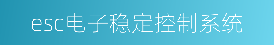 esc电子稳定控制系统的同义词