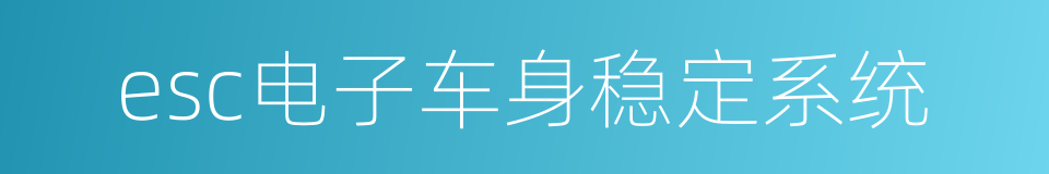 esc电子车身稳定系统的同义词