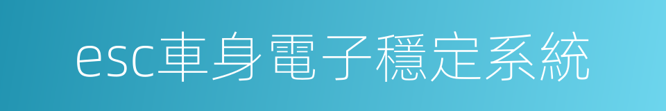 esc車身電子穩定系統的同義詞