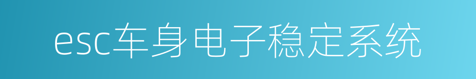 esc车身电子稳定系统的同义词