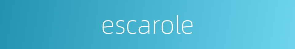 escarole的同义词