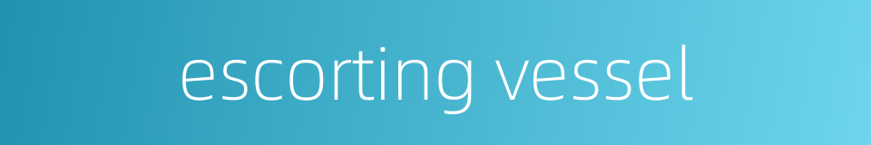 escorting vessel的同义词