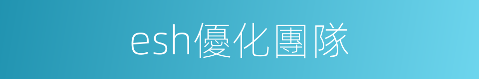 esh優化團隊的同義詞