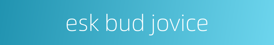 esk bud jovice的同义词