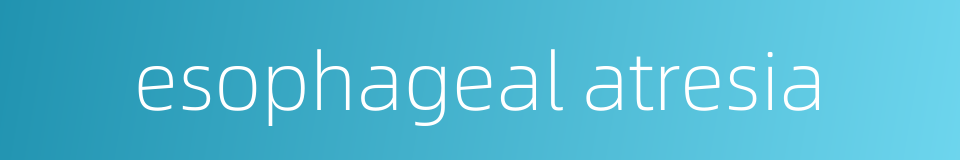 esophageal atresia的同义词