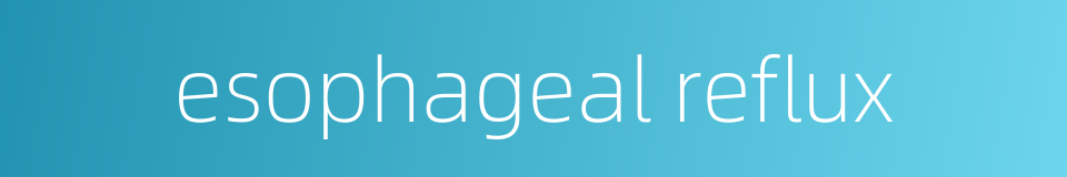 esophageal reflux的同义词