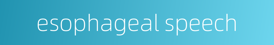 esophageal speech的同义词
