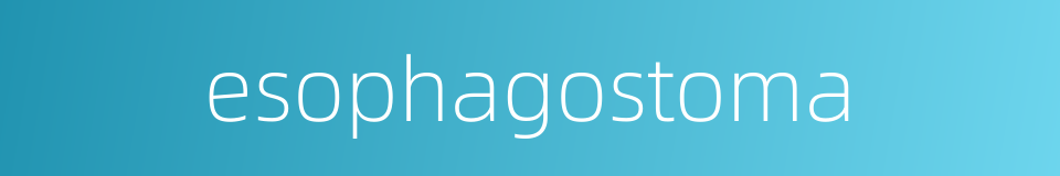 esophagostoma的同义词