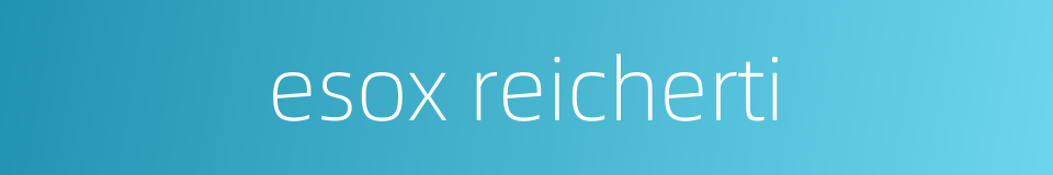 esox reicherti的同义词