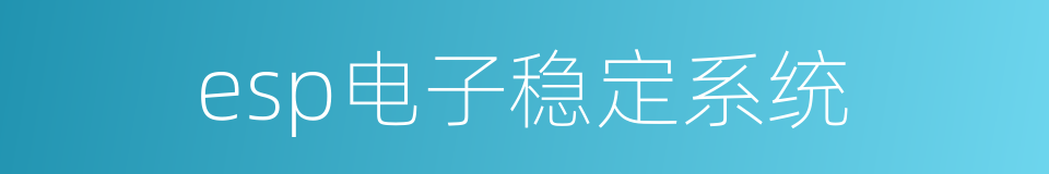 esp电子稳定系统的同义词