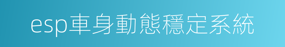 esp車身動態穩定系統的同義詞