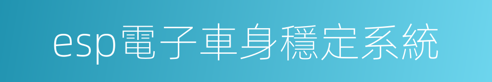 esp電子車身穩定系統的同義詞